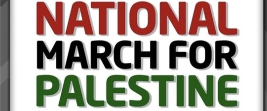 Register for the Bus Delegation from DFW to D.C. for National March for Palestine